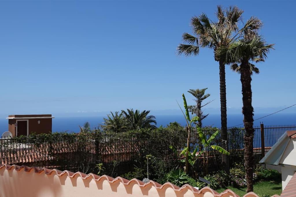Infinity View Apartment La Matanza De Acentejo Bagian luar foto